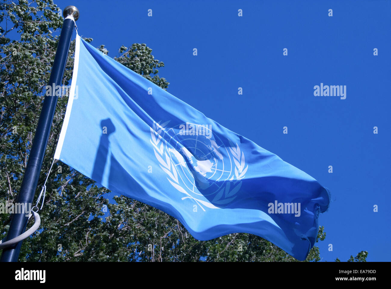 united nations flag in the wind Stock Photo - Alamy