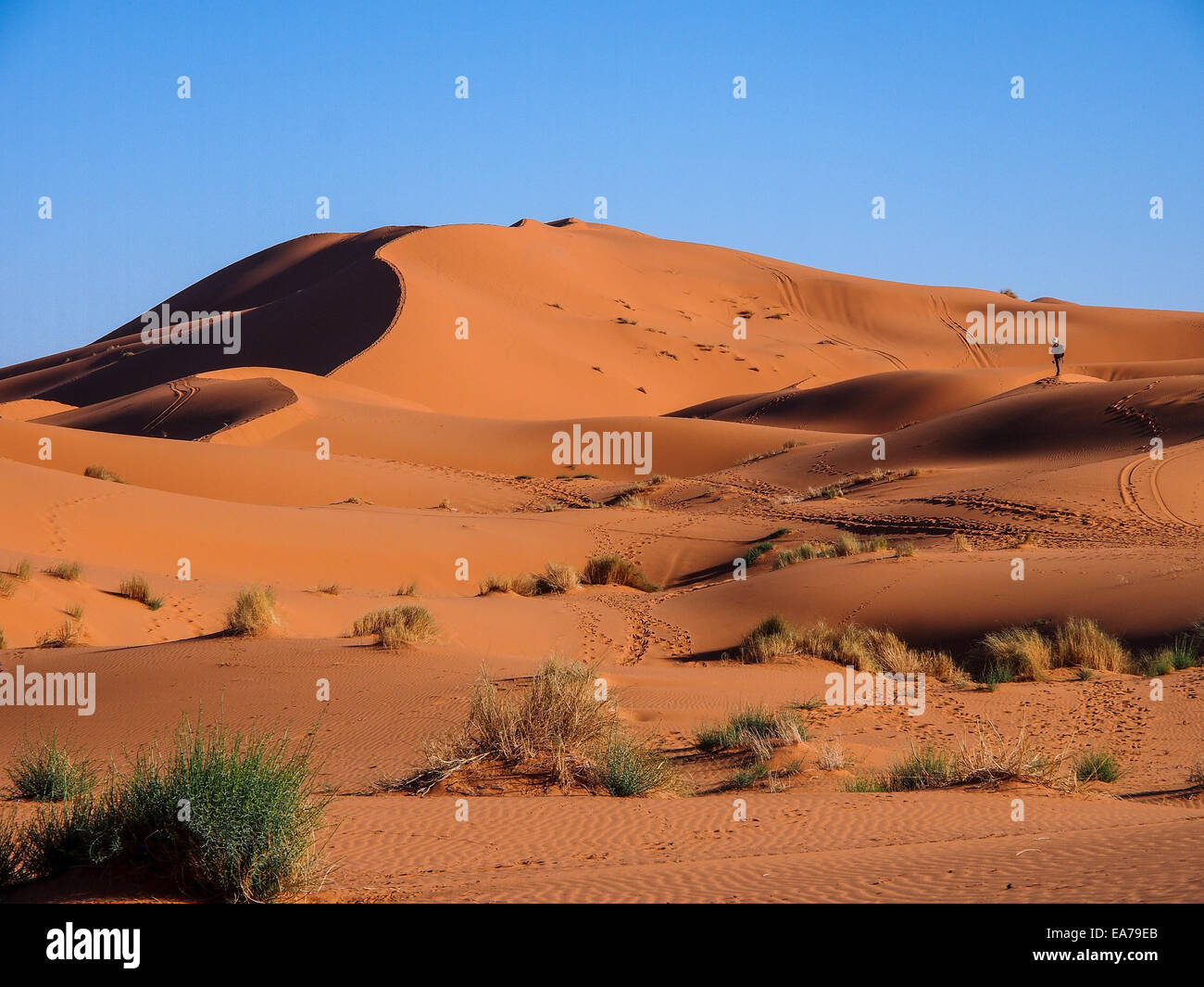 Sand dunes of Erg Chebbi in the Sahara Desert, Morocco Stock Photo - Alamy