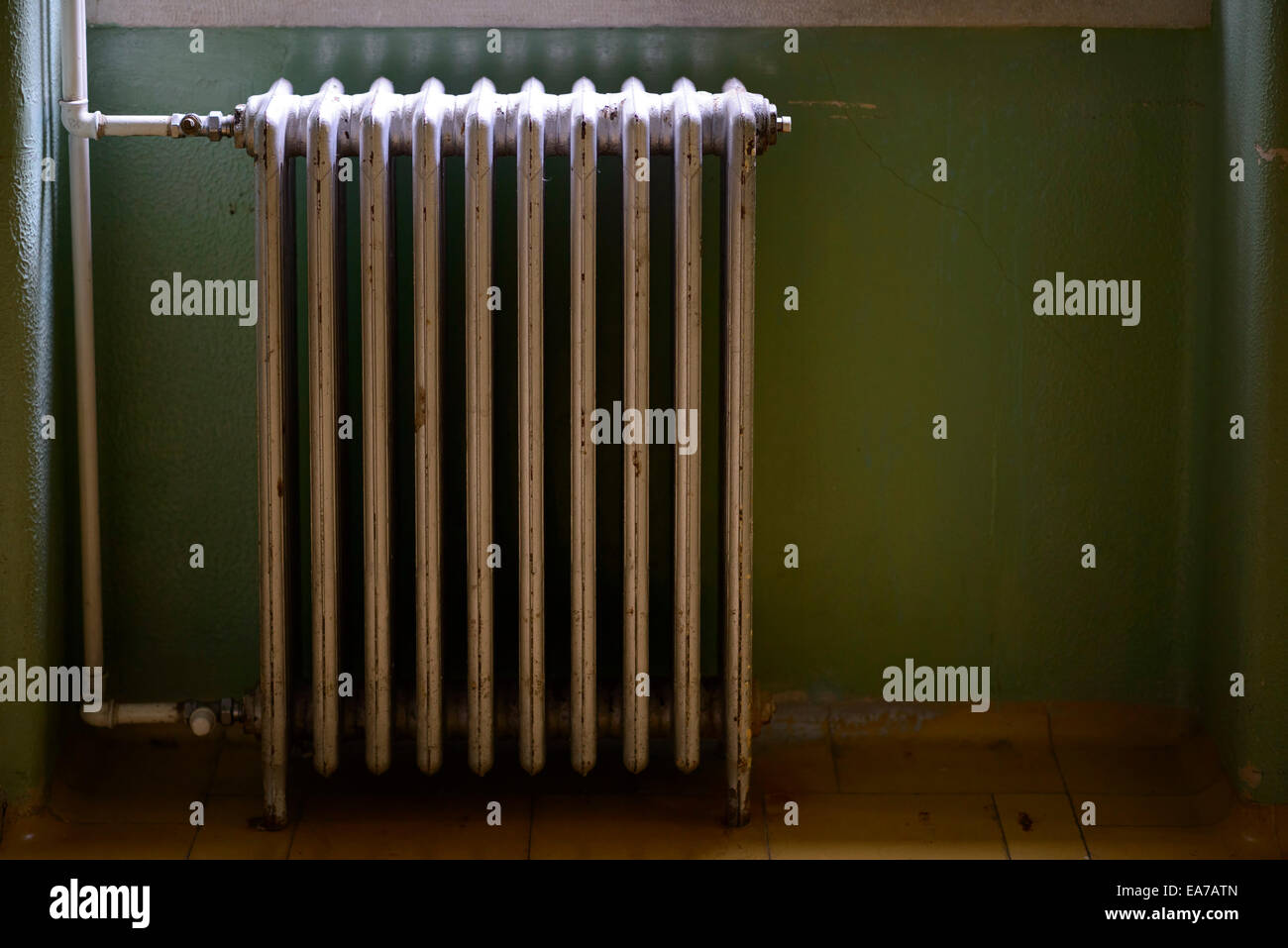 Old metallic water heater radiator mounted on a green wall Stock Photo