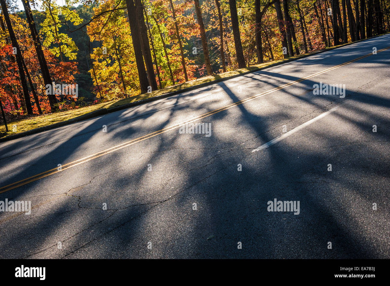 Sunlit trees with vivid autumn leaves cast long shadows across a road in Atlanta's scenic Stone Mountain Park. USA. Stock Photo