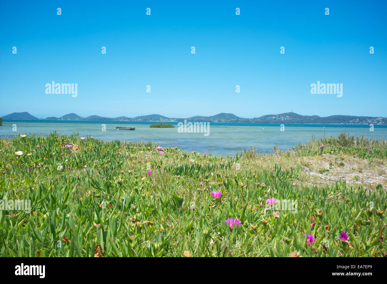 Spring time at Port Stephens, New South Wales, Australia Stock Photo