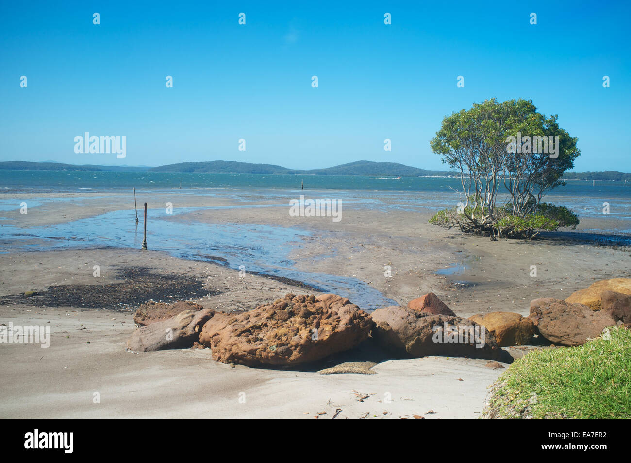 Port Stephens, New South Wales. Looking across the estuary with the tide out on a sunny spring day Stock Photo