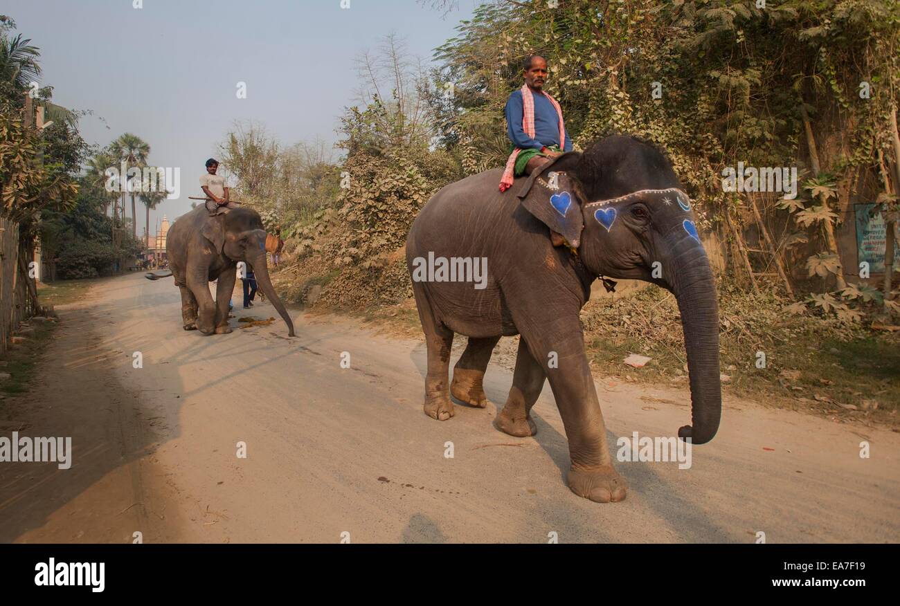 Sonepur hi-res stock photography and images - Page 5 - Alamy