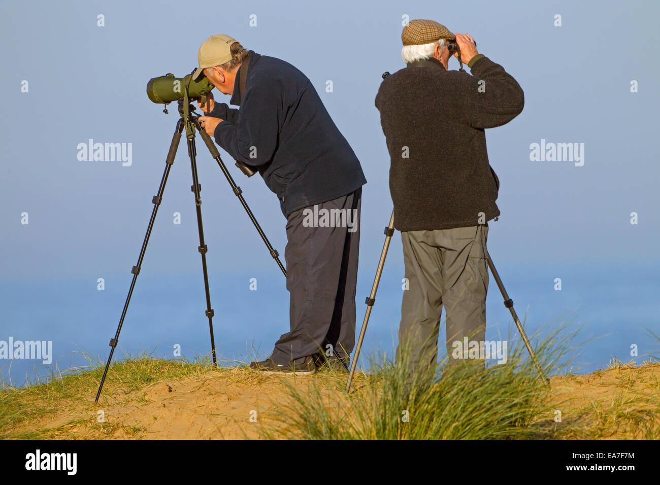 Watching Sea birds at RSPB Reserve Titchwell Norfolk Stock Photo
