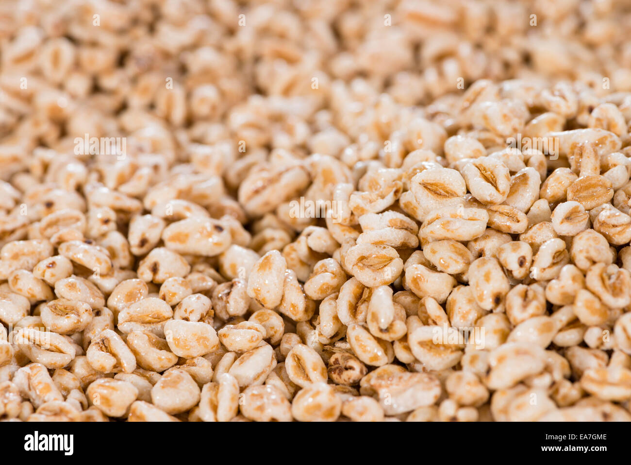 Portion of puffed wheat for use as background image or as texture Stock ...