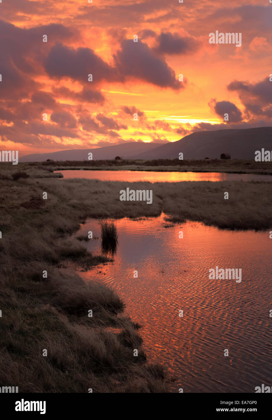 Dawn landscape in the Brecon Beacons National Park, taken on the Mynydd