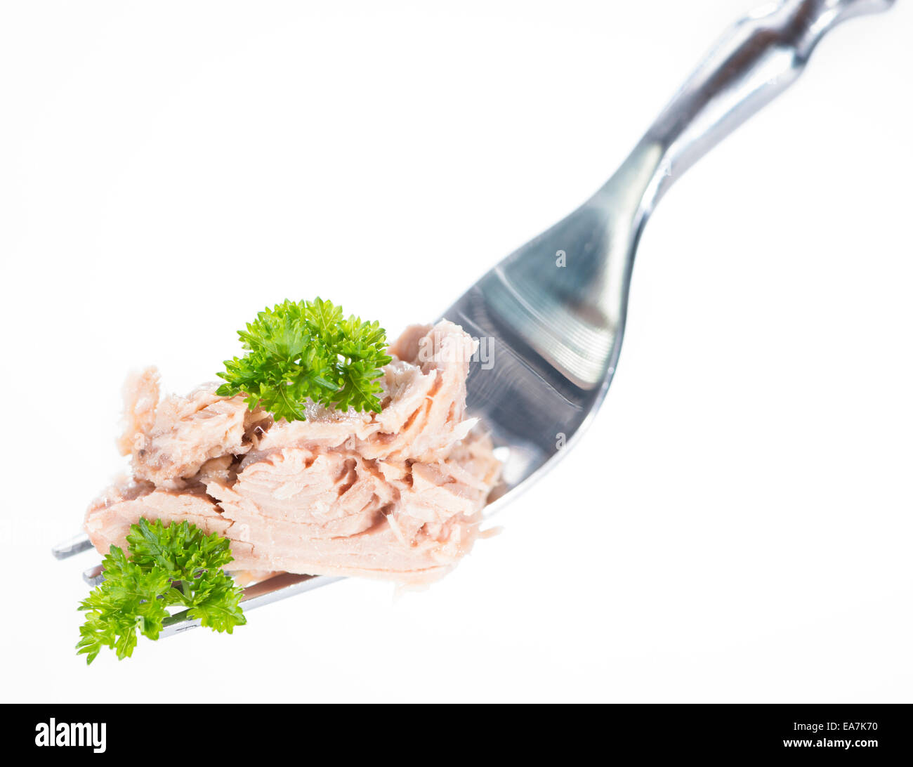 Tuna with parsley on a fork (isolated on pure white background) Stock Photo