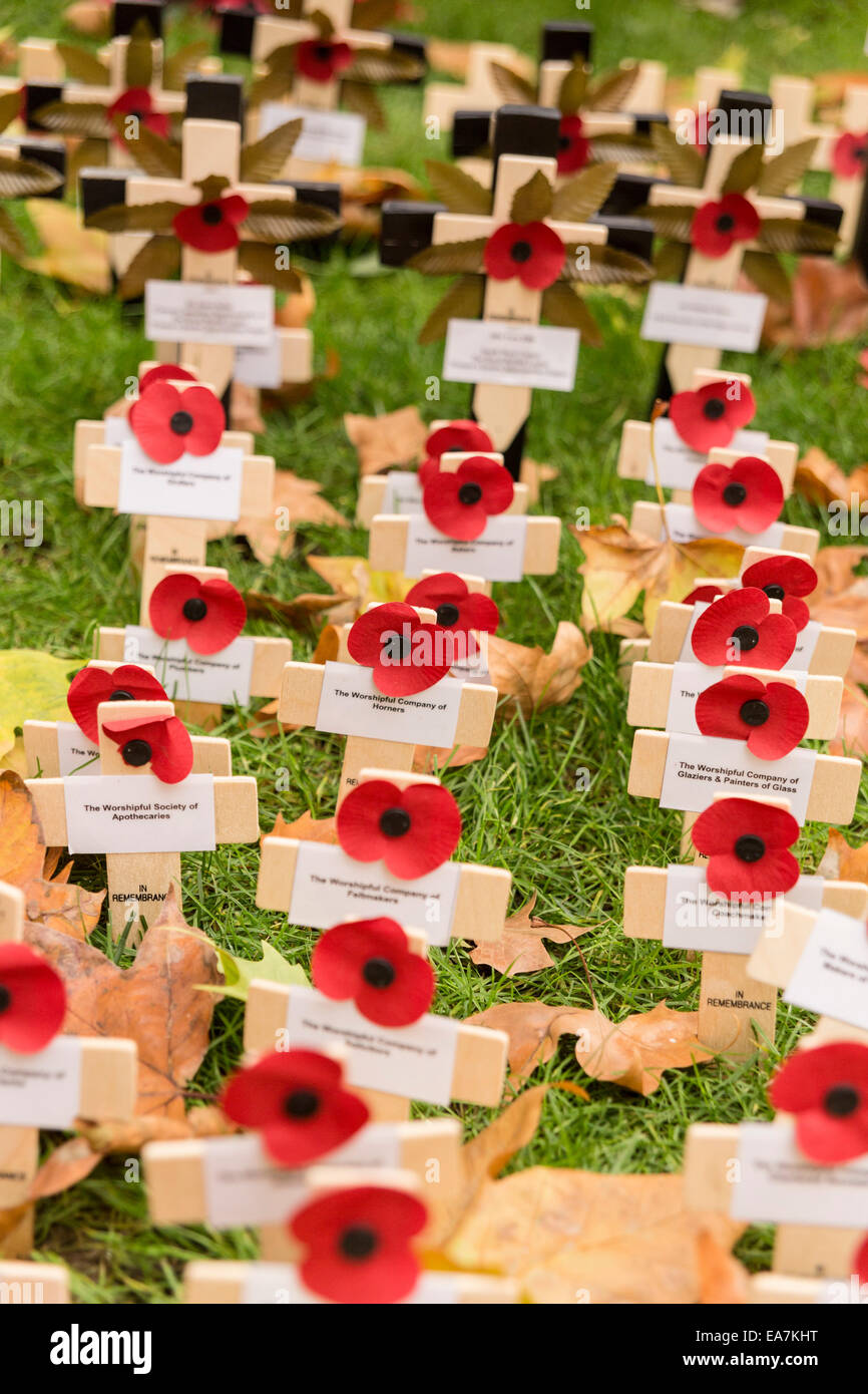 London, UK. 8th Nov, 2014. Each year in November, the United Kingdom remembers the people who gave their lives in the two World Wars. The red remembrance poppy is a familiar emblem of Remembrance Day: poppies bloomed across some of the worst battlefields of Flanders in World War I, and their brilliant red colour became a symbol for the blood spilled in the war. Credit:  Cecilia Colussi/Alamy Live News Stock Photo
