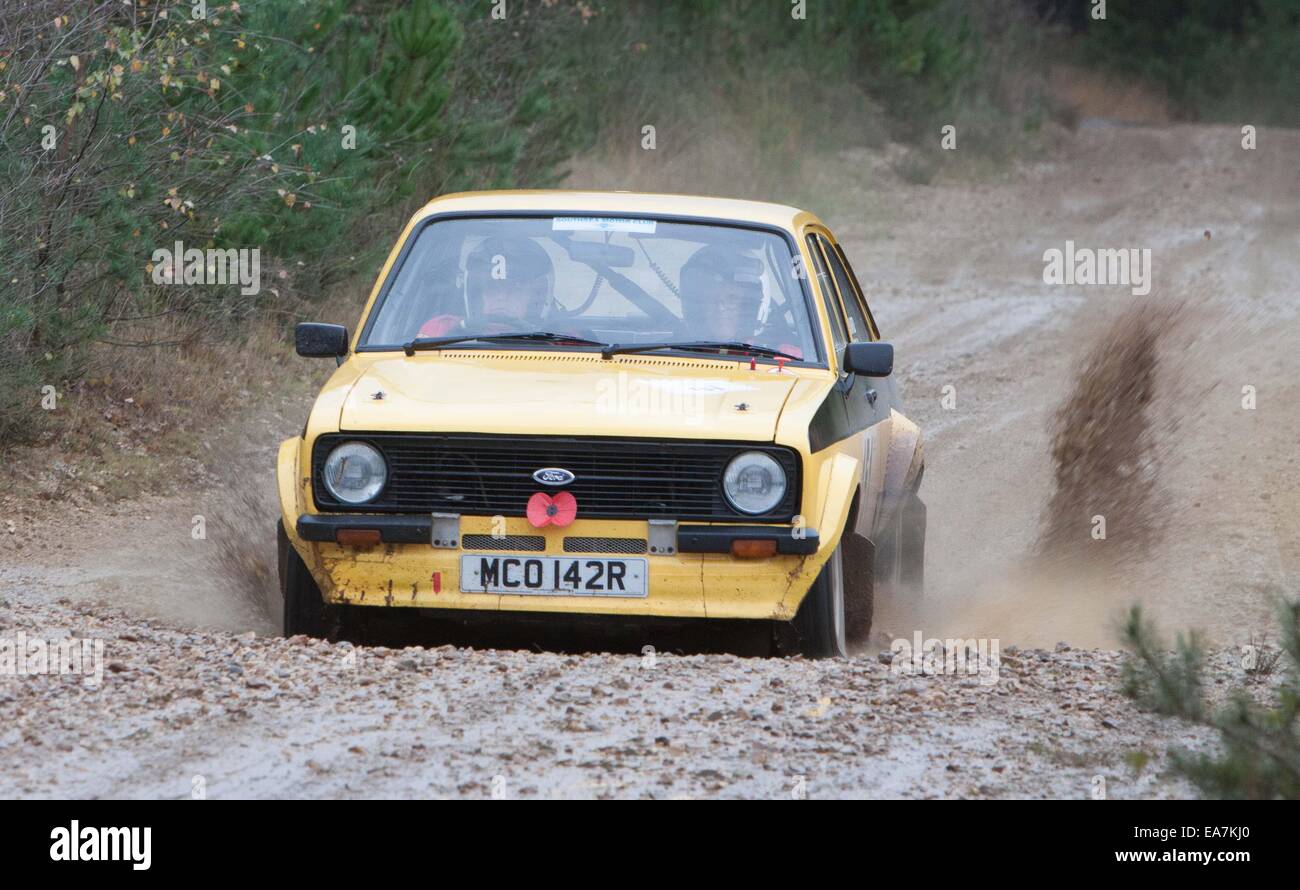 Eversley, UK. 8th Nov, 2014. Tempest Rally. The rally is a one day ...