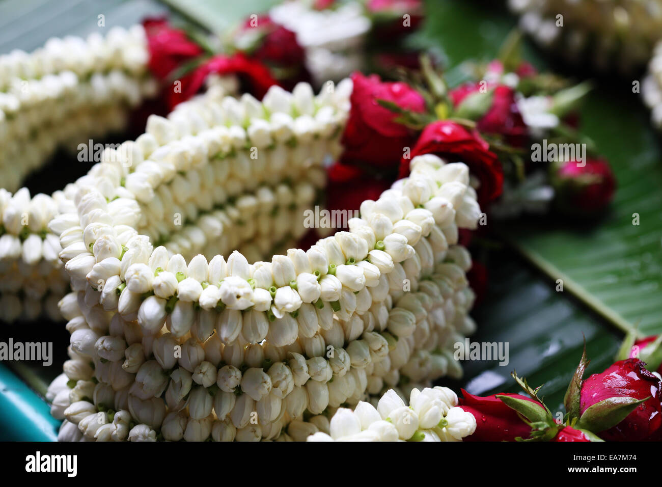 the garland have jasmine and rose at street market, thailand Stock Photo -  Alamy