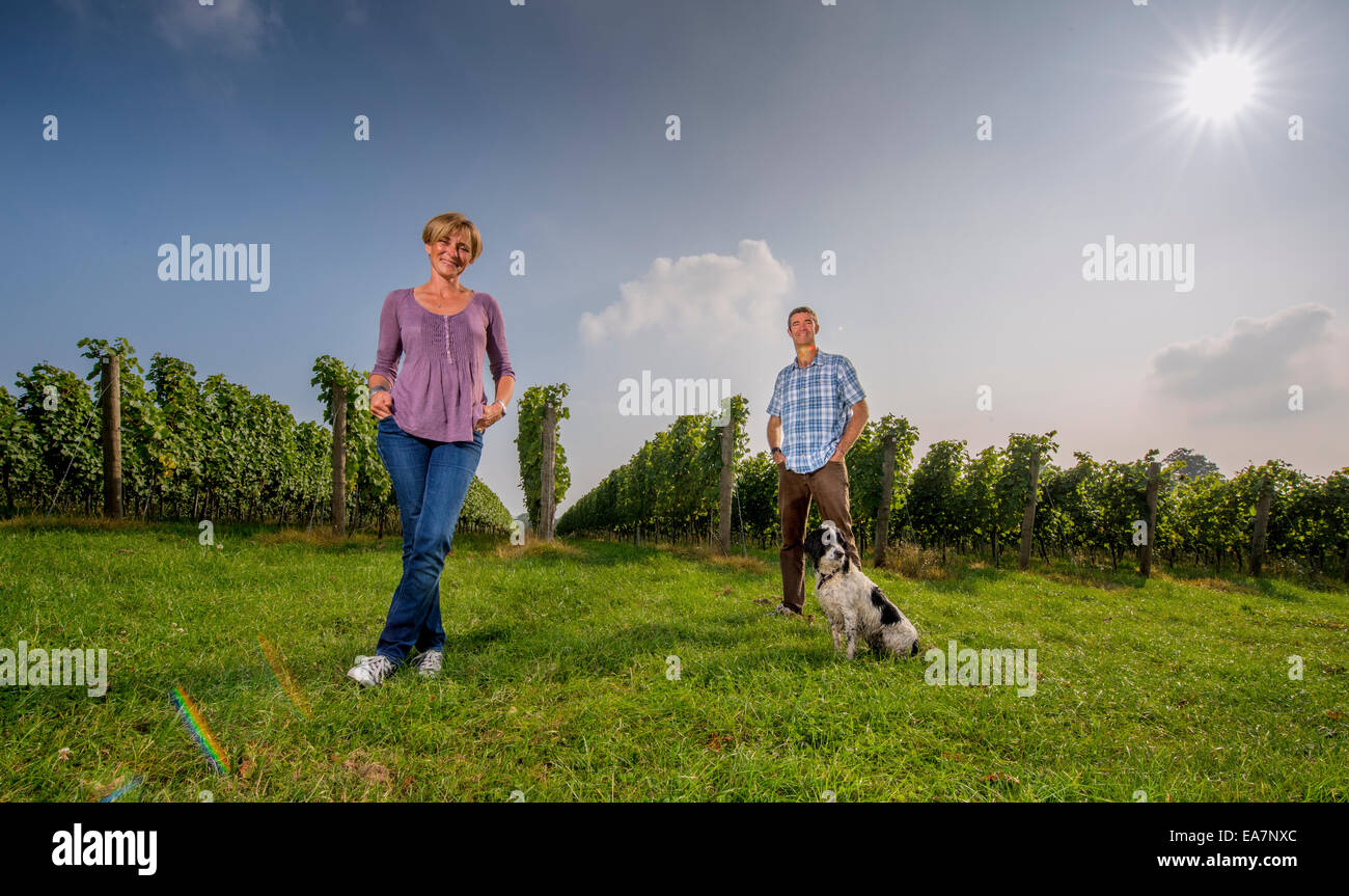 Co-owner Alison Nightingale and her husband Nick at their vineyard  Albourne Estate in West Sussex. Stock Photo