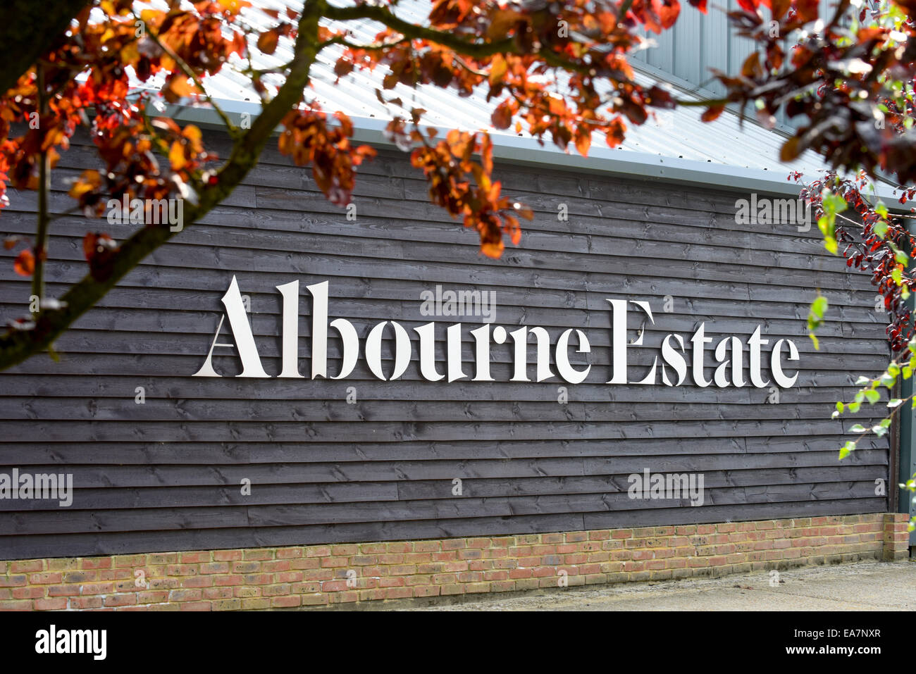 Albourne Estate Vineyard in West Sussex, UK. Stock Photo