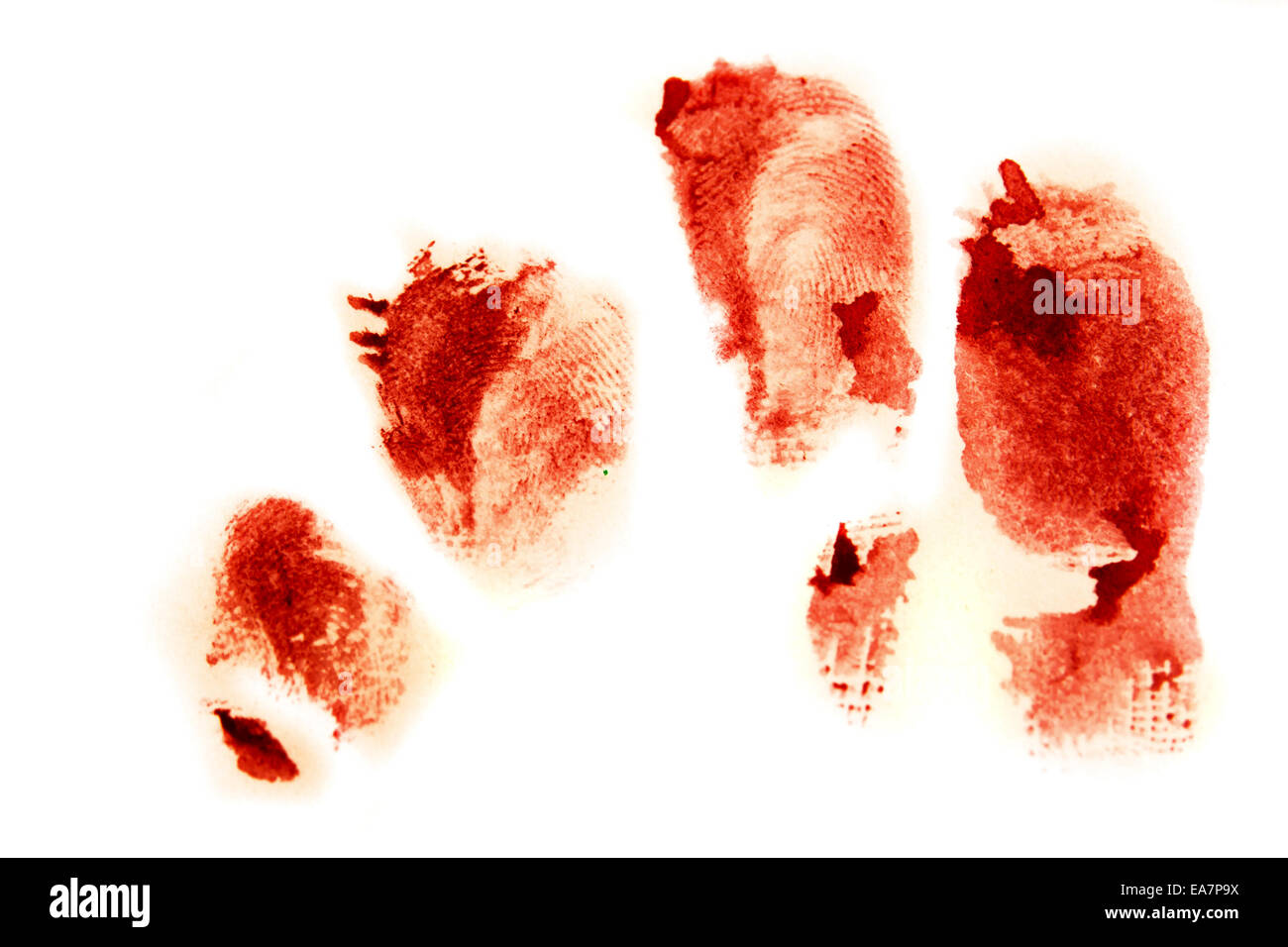 Blood thumbprint finger print isolated on white background Stock Photo