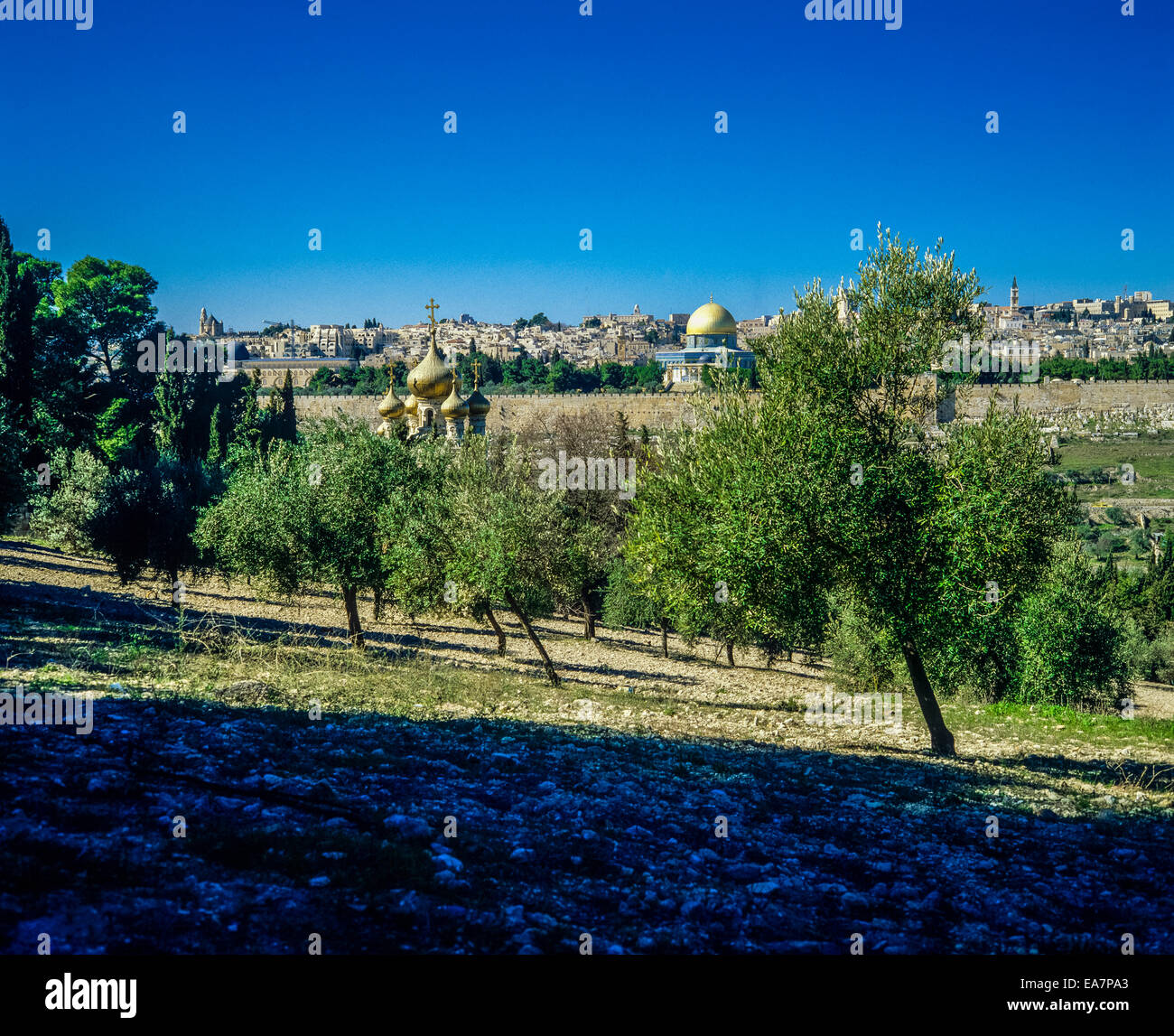 My Image 26