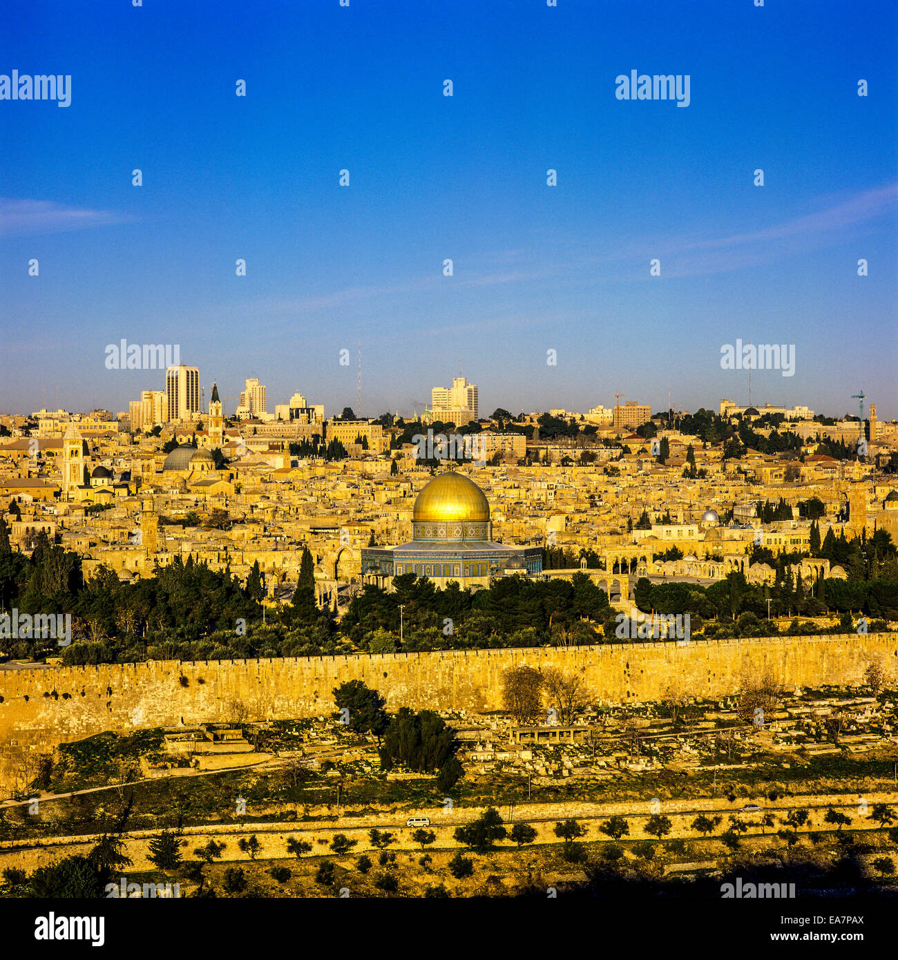 My Image 48