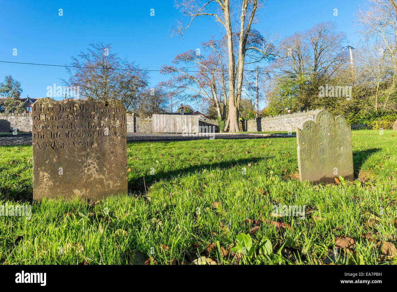 Grave stones associated with the Battle of Saintfield 1798 can be found at the rear of Saintfield First Presbyterian Church. Stock Photo