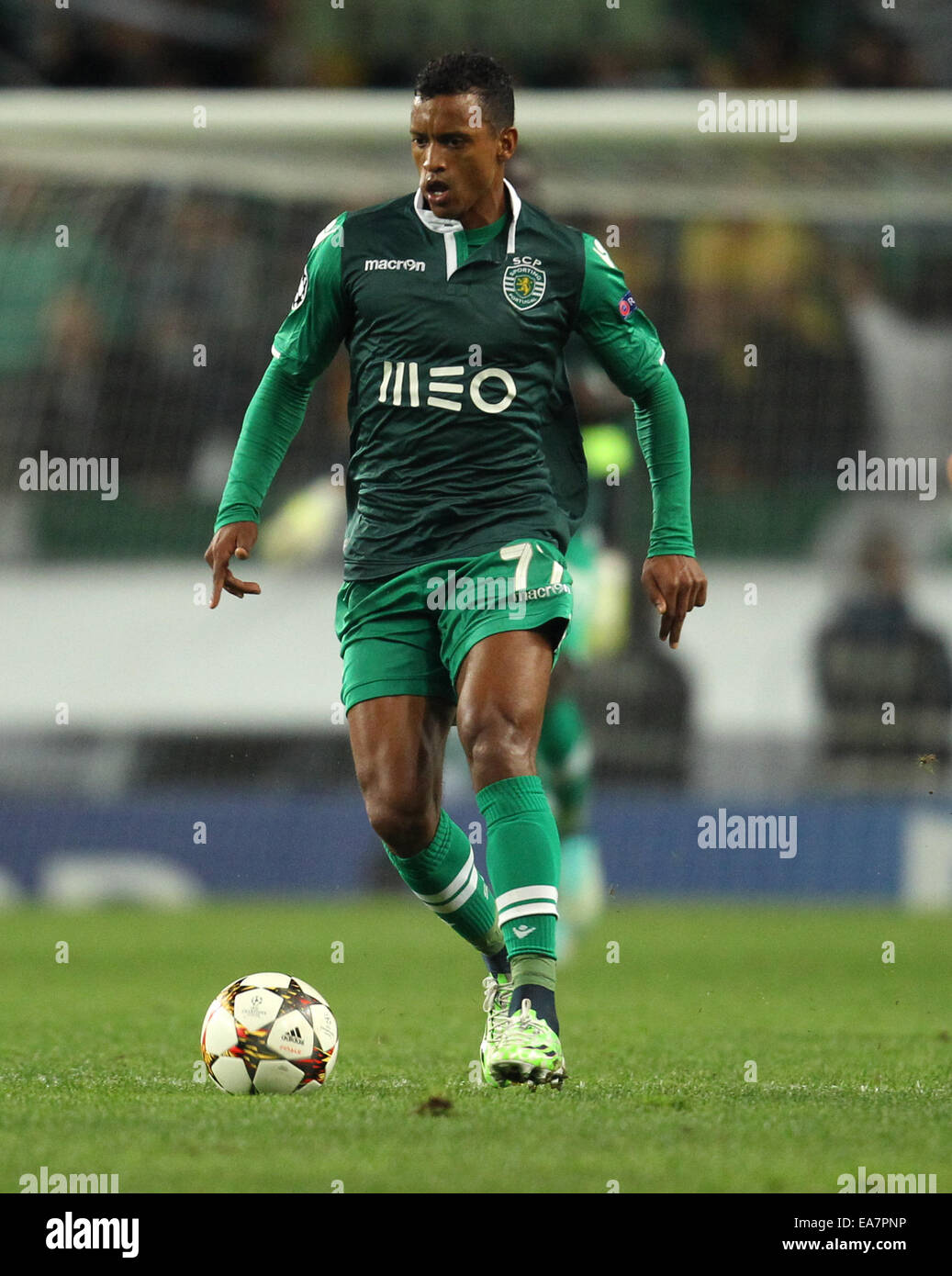 nani champions league