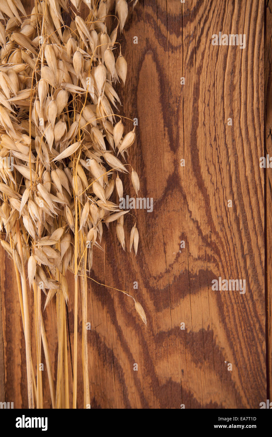 Oat on the wood background Stock Photo