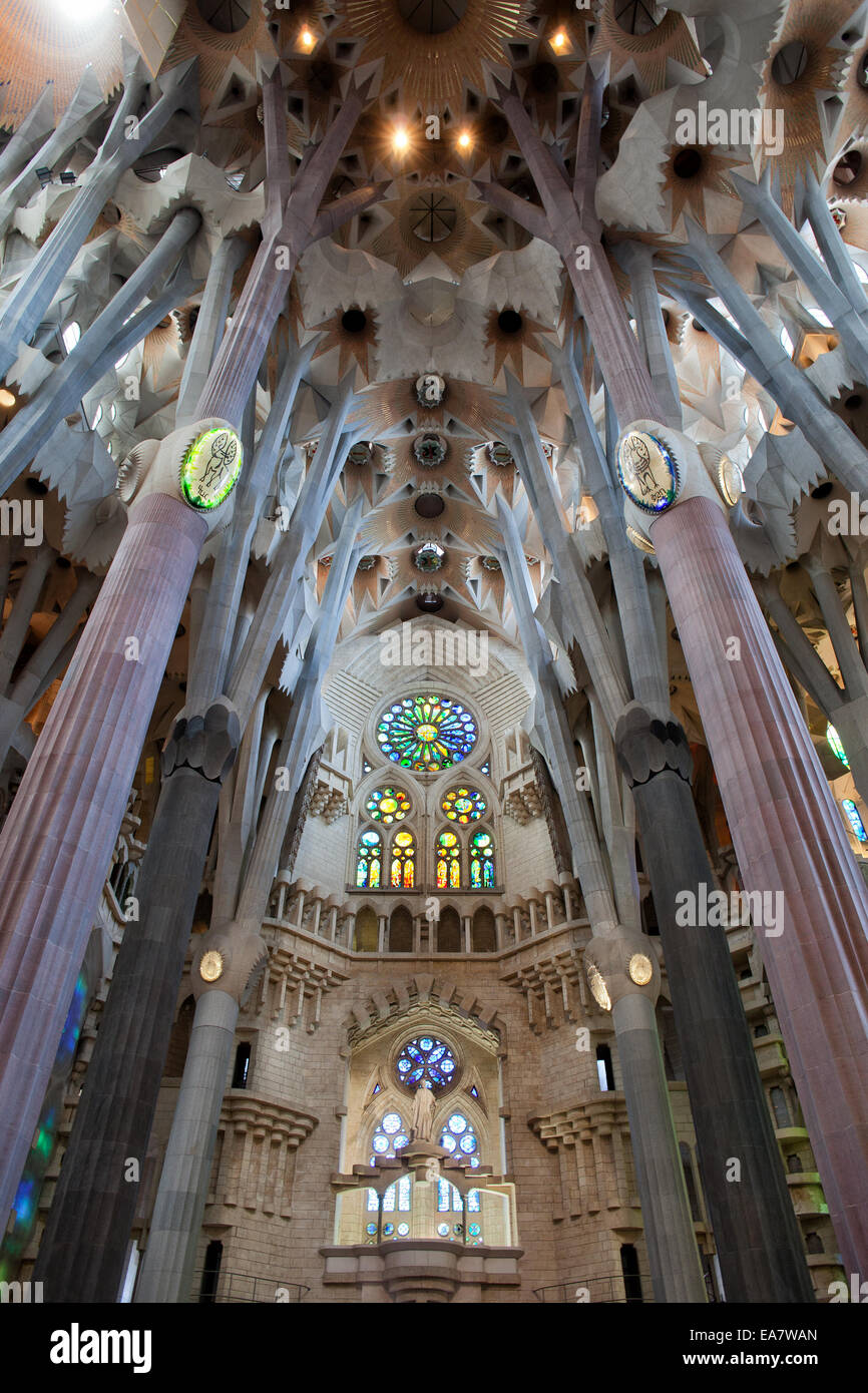 Interior of the Sagrada Familia church by Antoni Gaudi design in ...