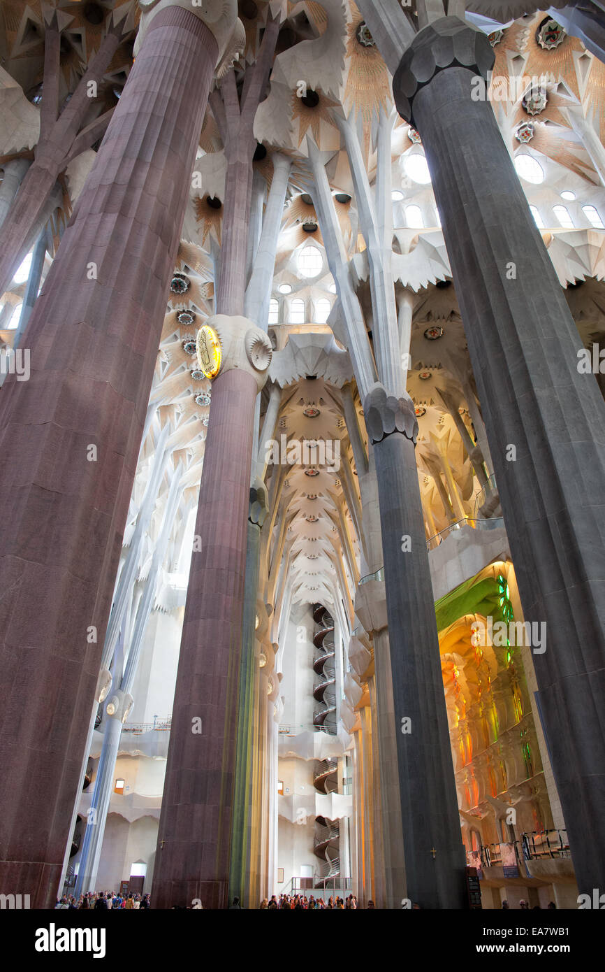 Sagrada Familia basilica interior in Barcelona, Catalonia, Spain Stock ...