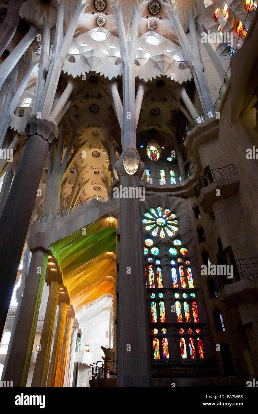 Interior of the Sagrada Familia church by Antoni Gaudi design in ...