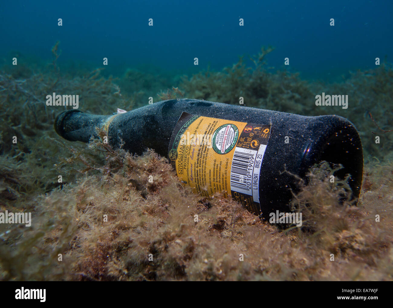 Sunken bottle under water. Stock Photo