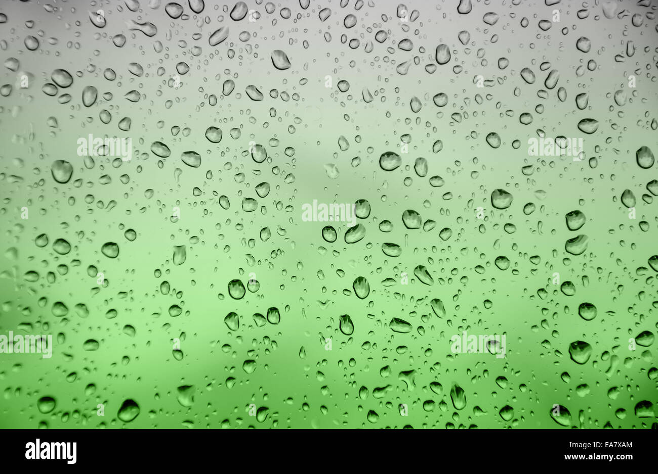abstract green color background with drop water Stock Photo - Alamy