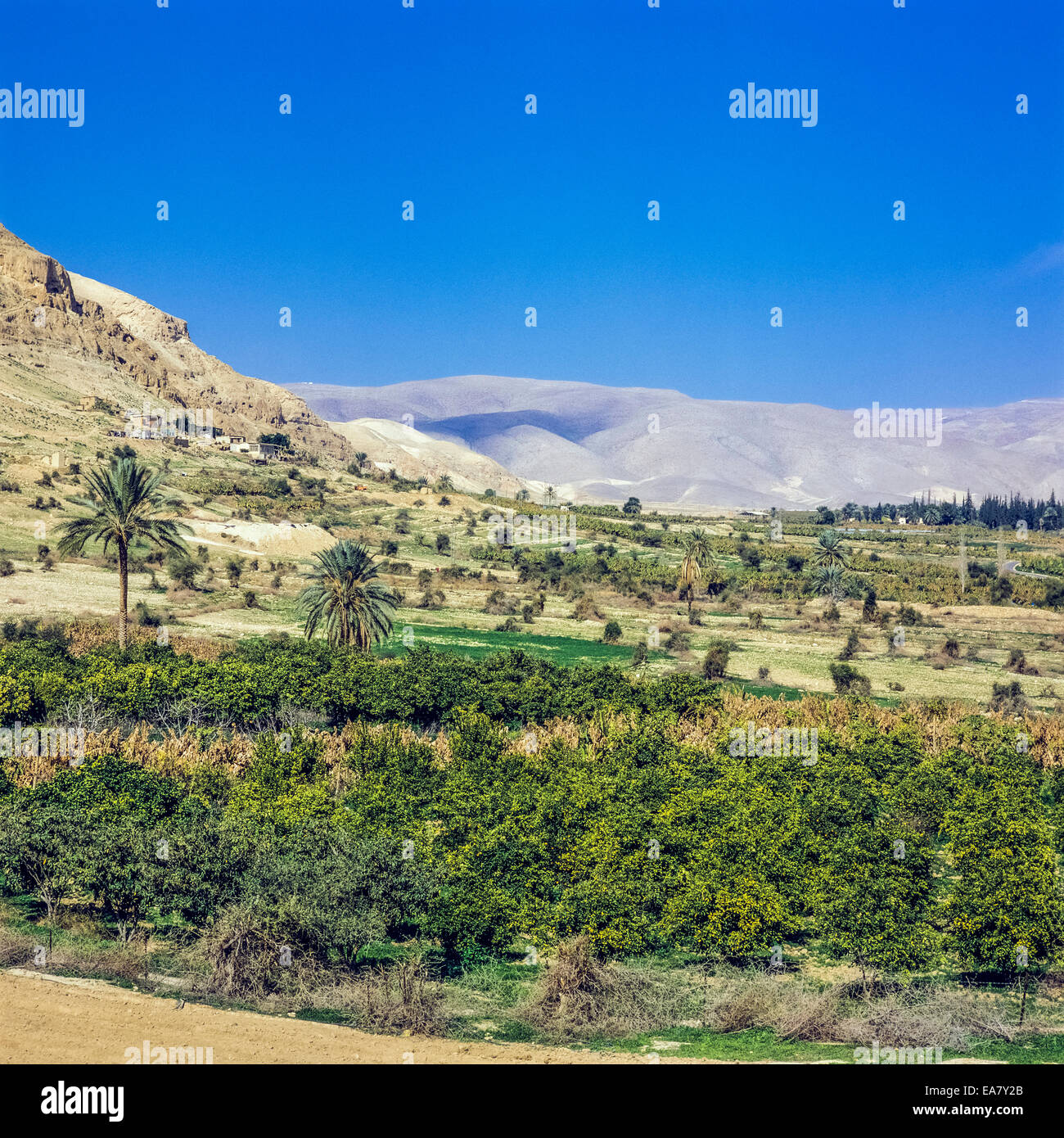 Judean hills israel farm hires stock photography and images Alamy