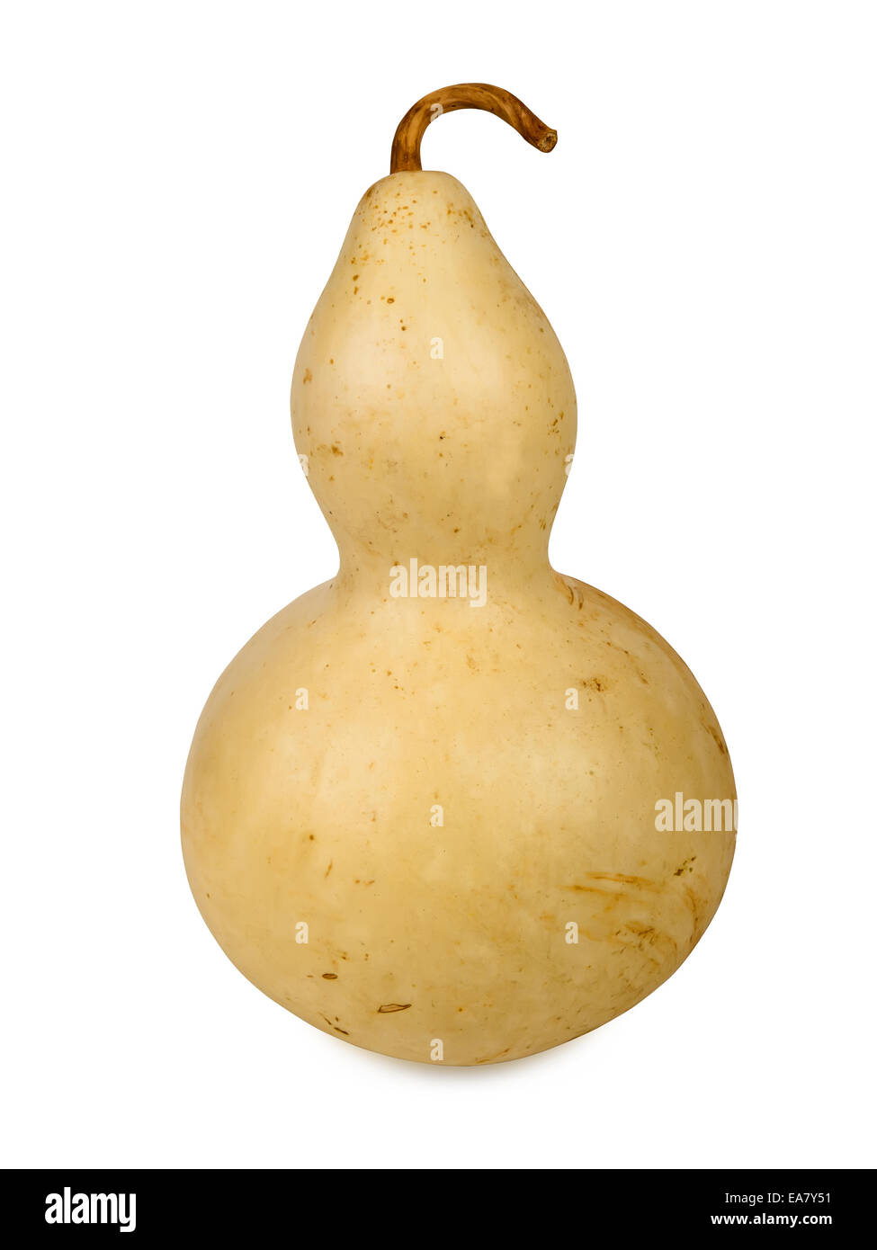 Bottle gourd isolated on a white background Stock Photo