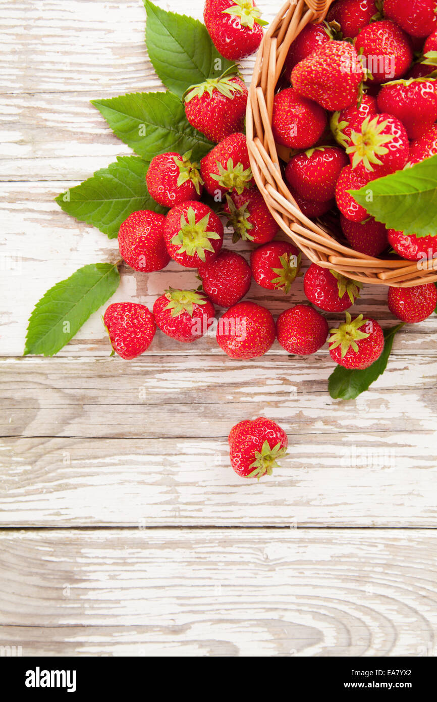 Fresh harvested strawberries in basket Stock Photo - Alamy