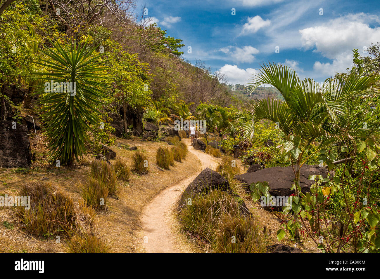 Road to paradise Stock Photo - Alamy