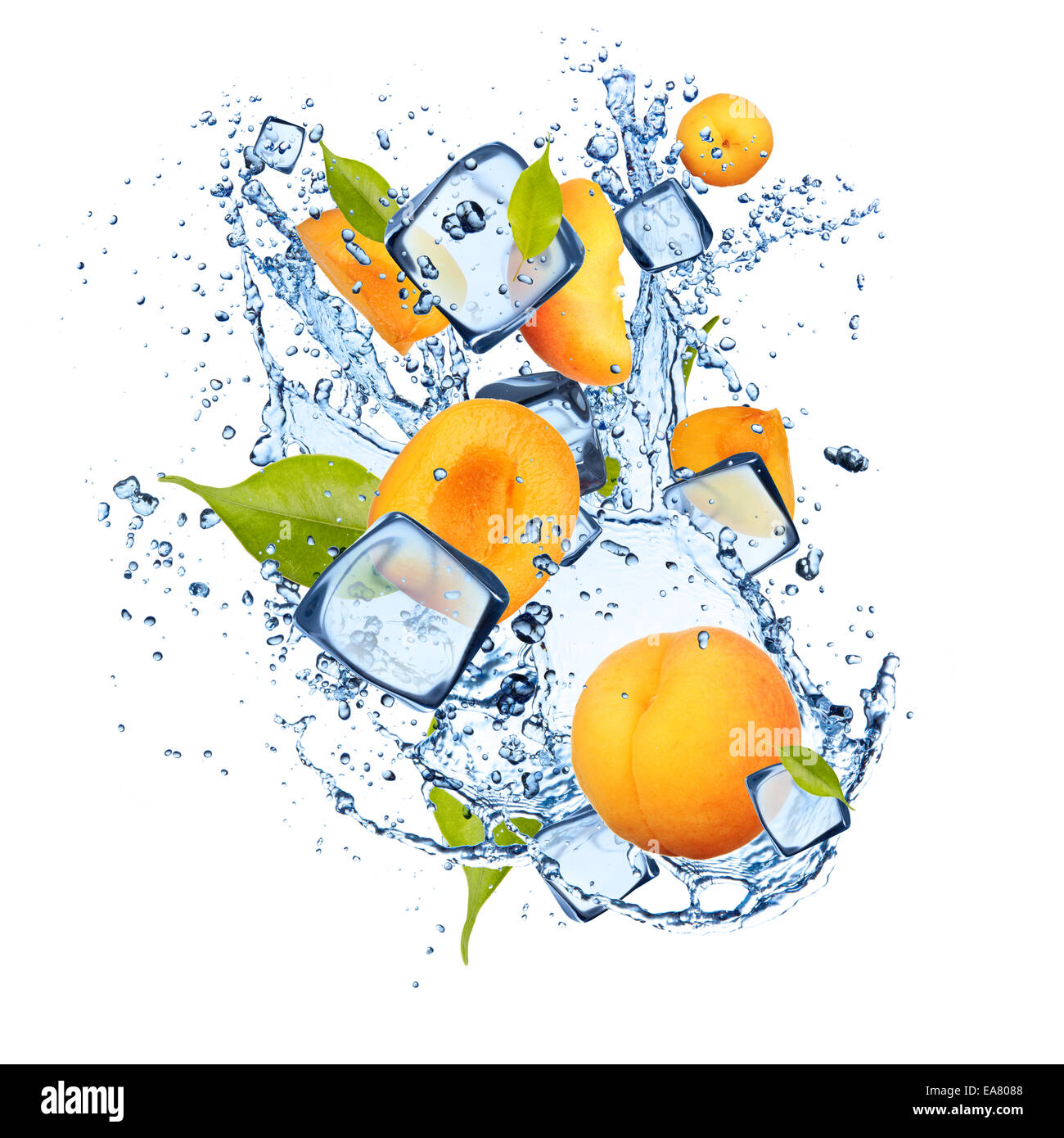 Ice apricot isolated on white background Stock Photo Alamy