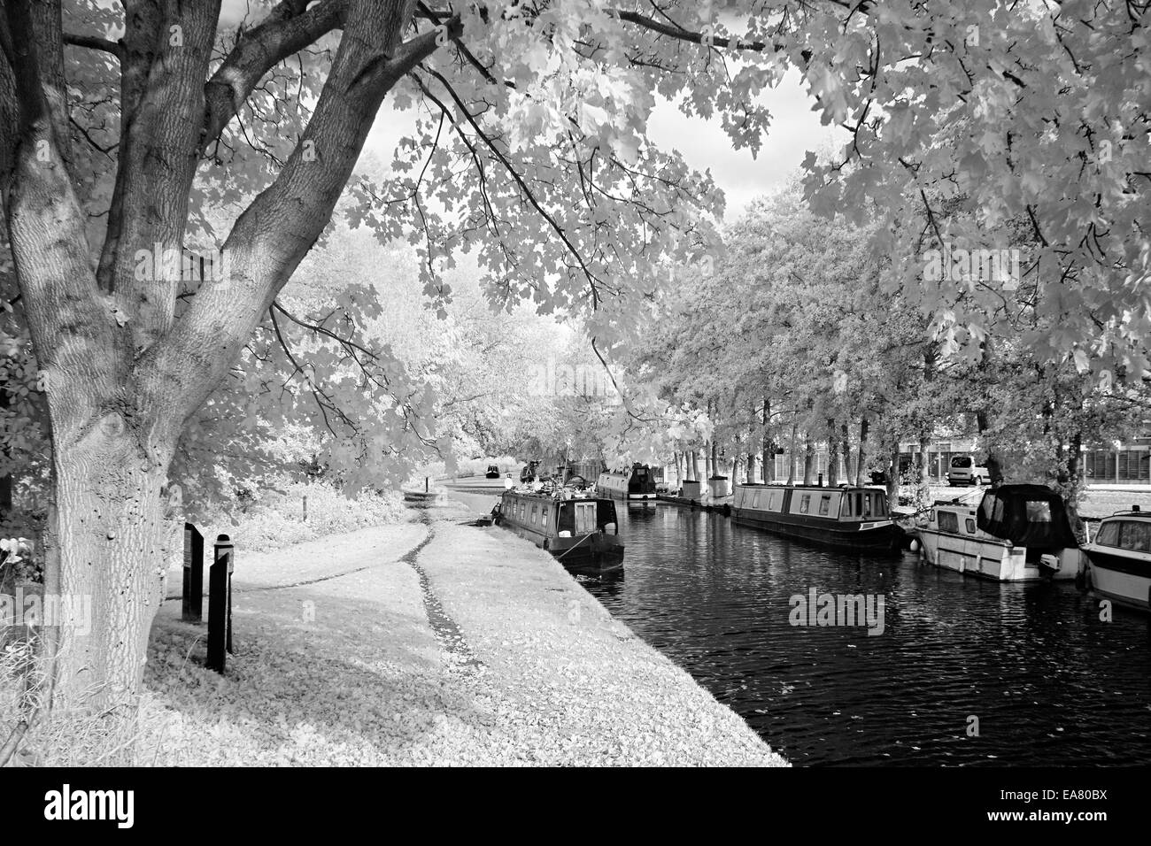 infrared landscape photograph of trent and mersey canal at great haywood cannock chase aonb countryside staffordshire Stock Photo