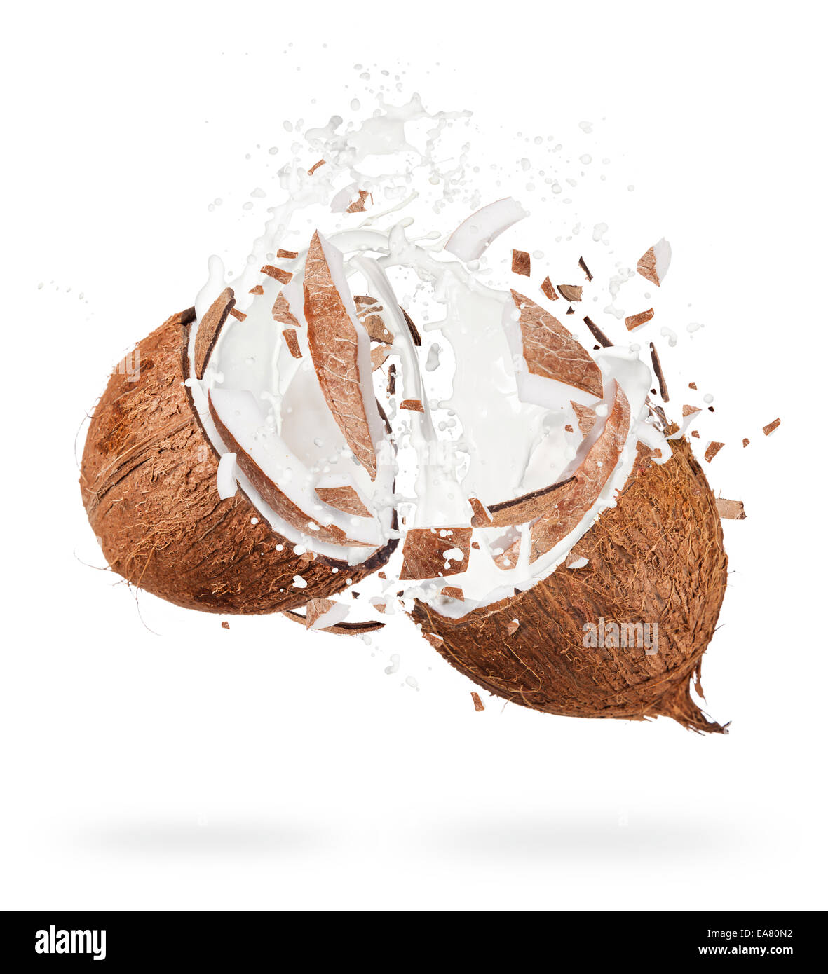 Isolated shot of cracked coconuts with water splash on white background Stock Photo