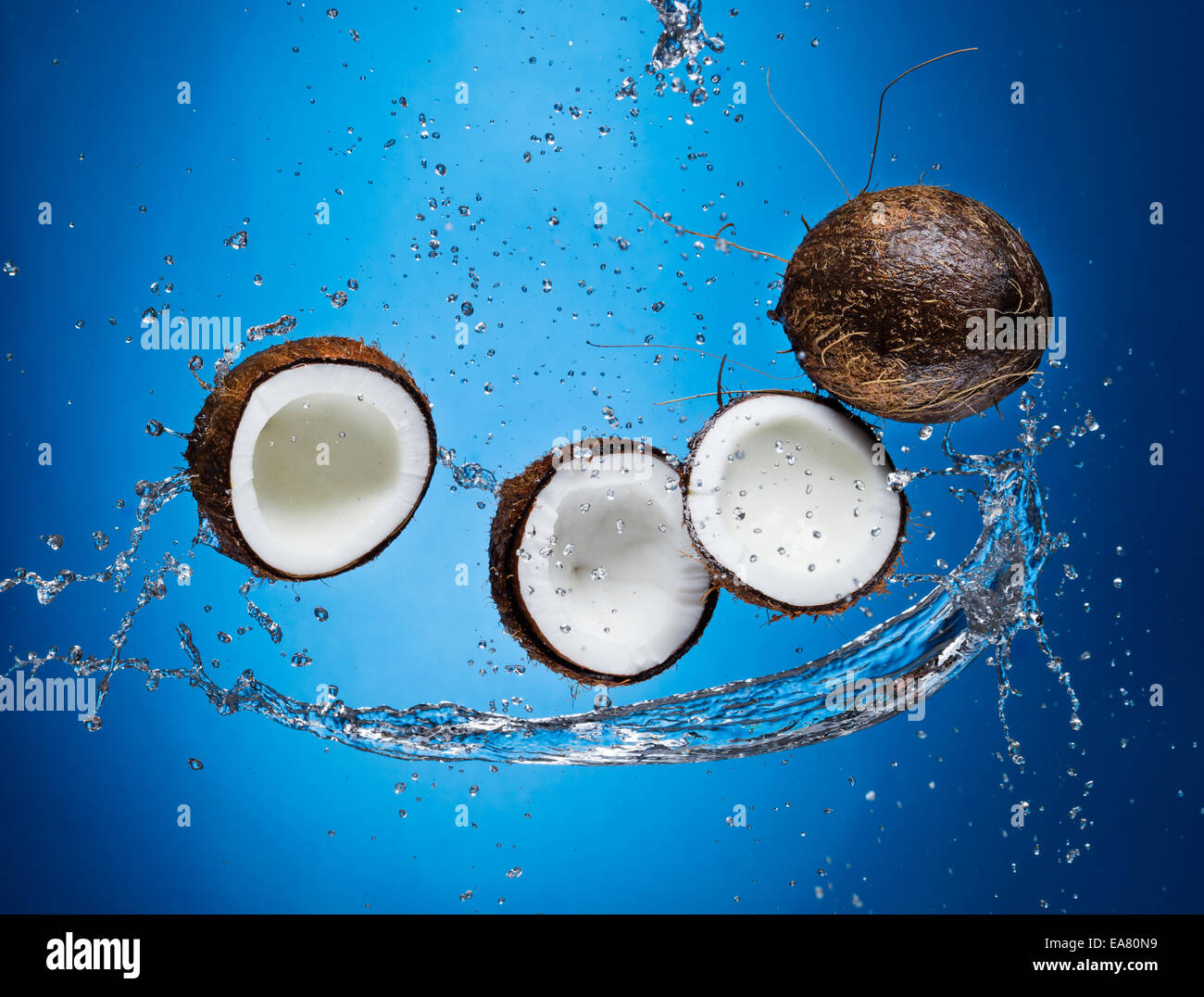 Studio shot of cracked coconuts with water splash on blue background Stock Photo