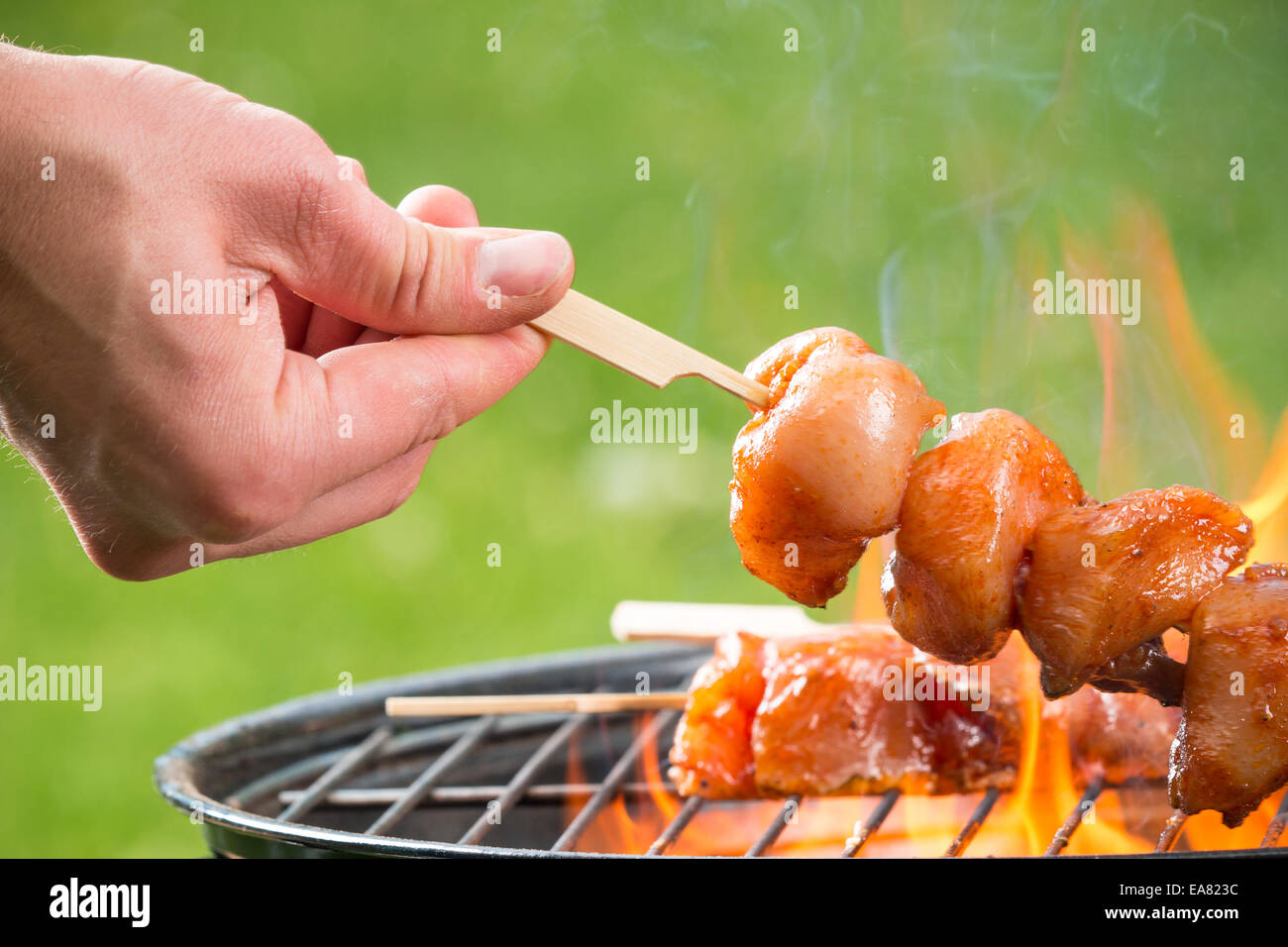 Delicious grilled chicken skewers on fire Stock Photo