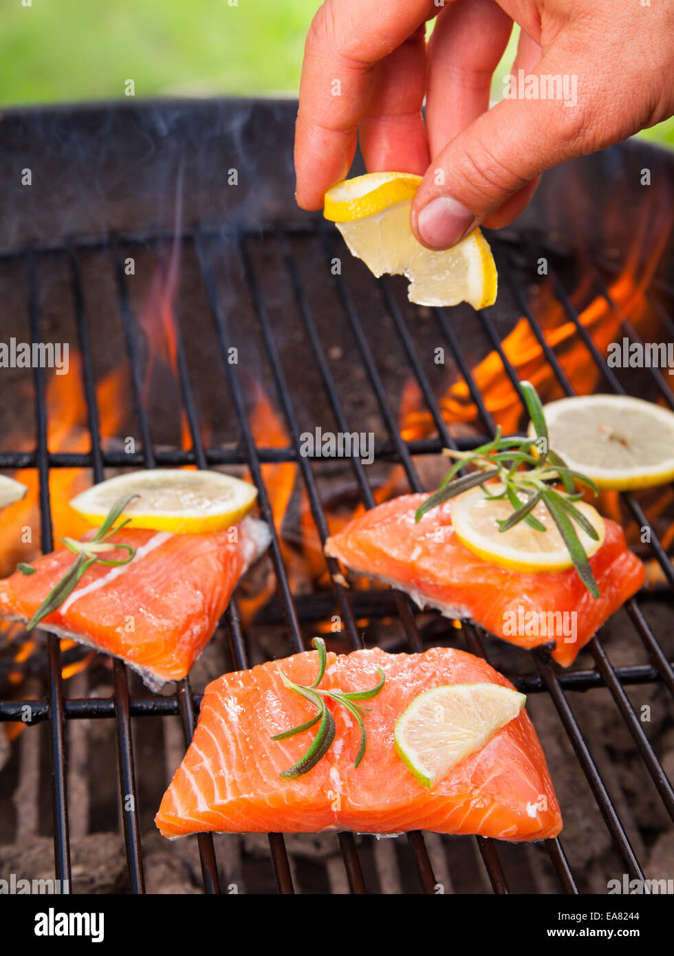 Grilled salmon steaks on fire Stock Photo Alamy