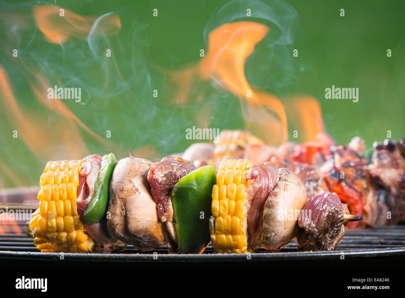Delicious grilled meat skewers on fire Stock Photo