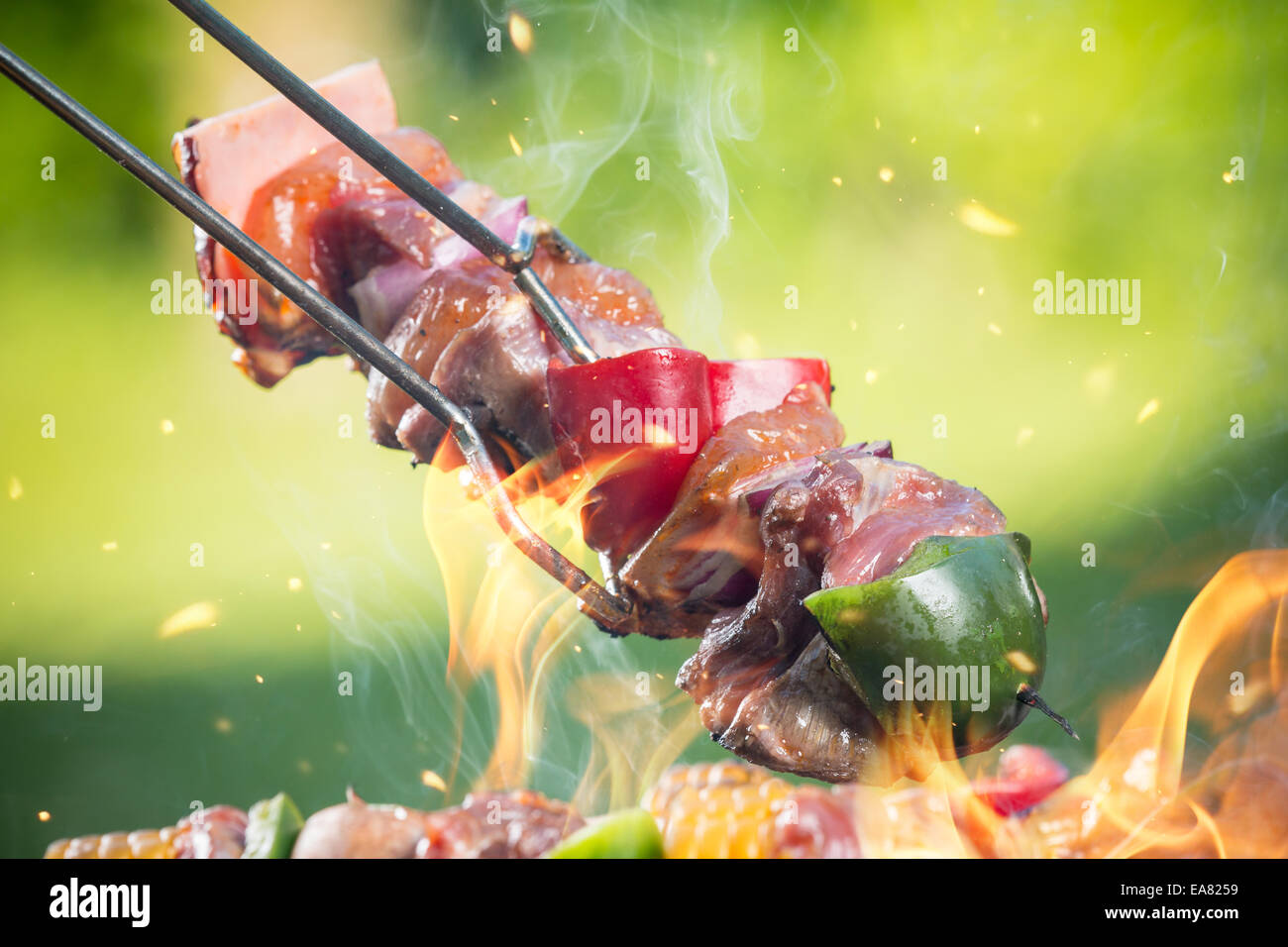 Delicious grilled meat skewers on fire Stock Photo