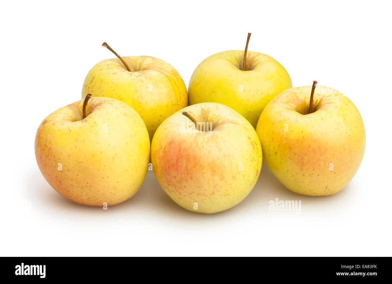 Yellow Apples Isolated Stock Photo Alamy