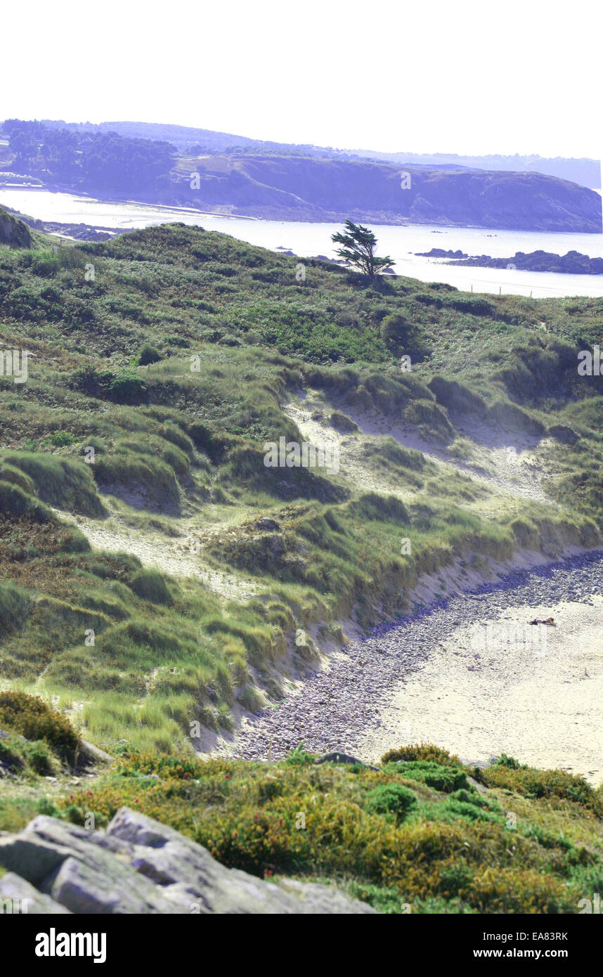 Côte Sauvage (Wild Coast) on the Quiberon Peninsula in Brittany, France ...