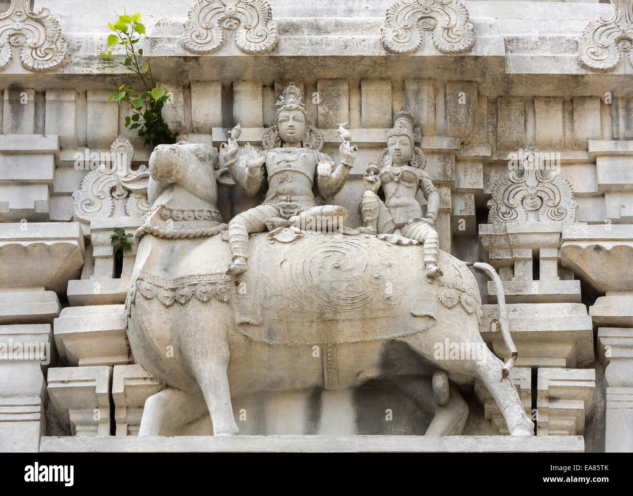 Lord Shiva and his wife Parvati sit on Nandi the bull. Stock Photo