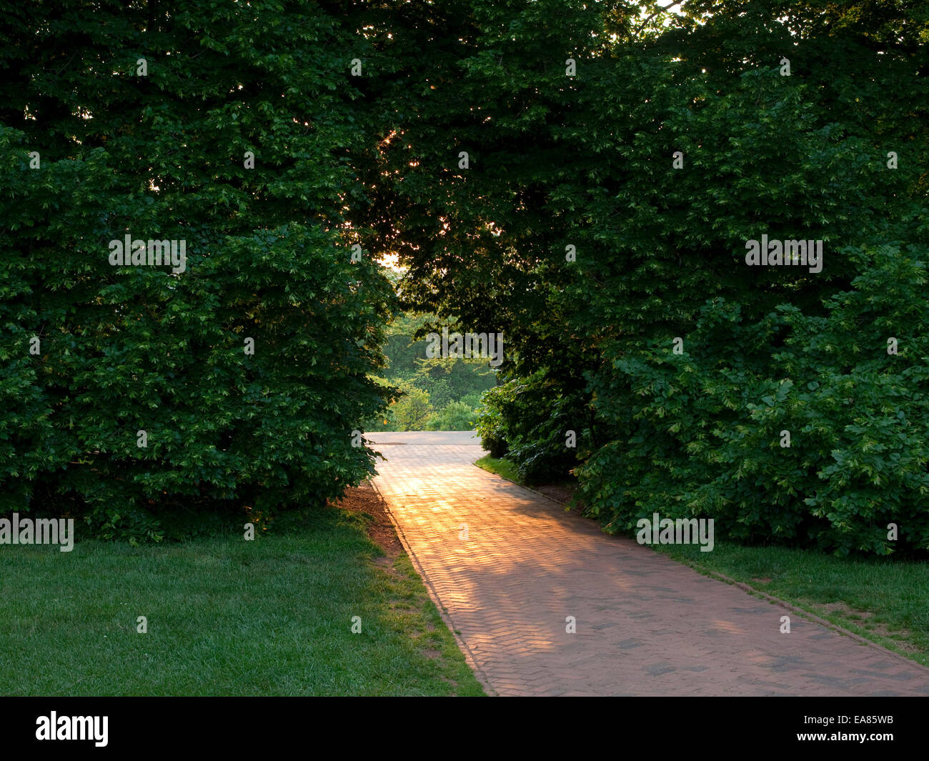 Pathway to Thomas Jefferson's house at Monticello. Stock Photo