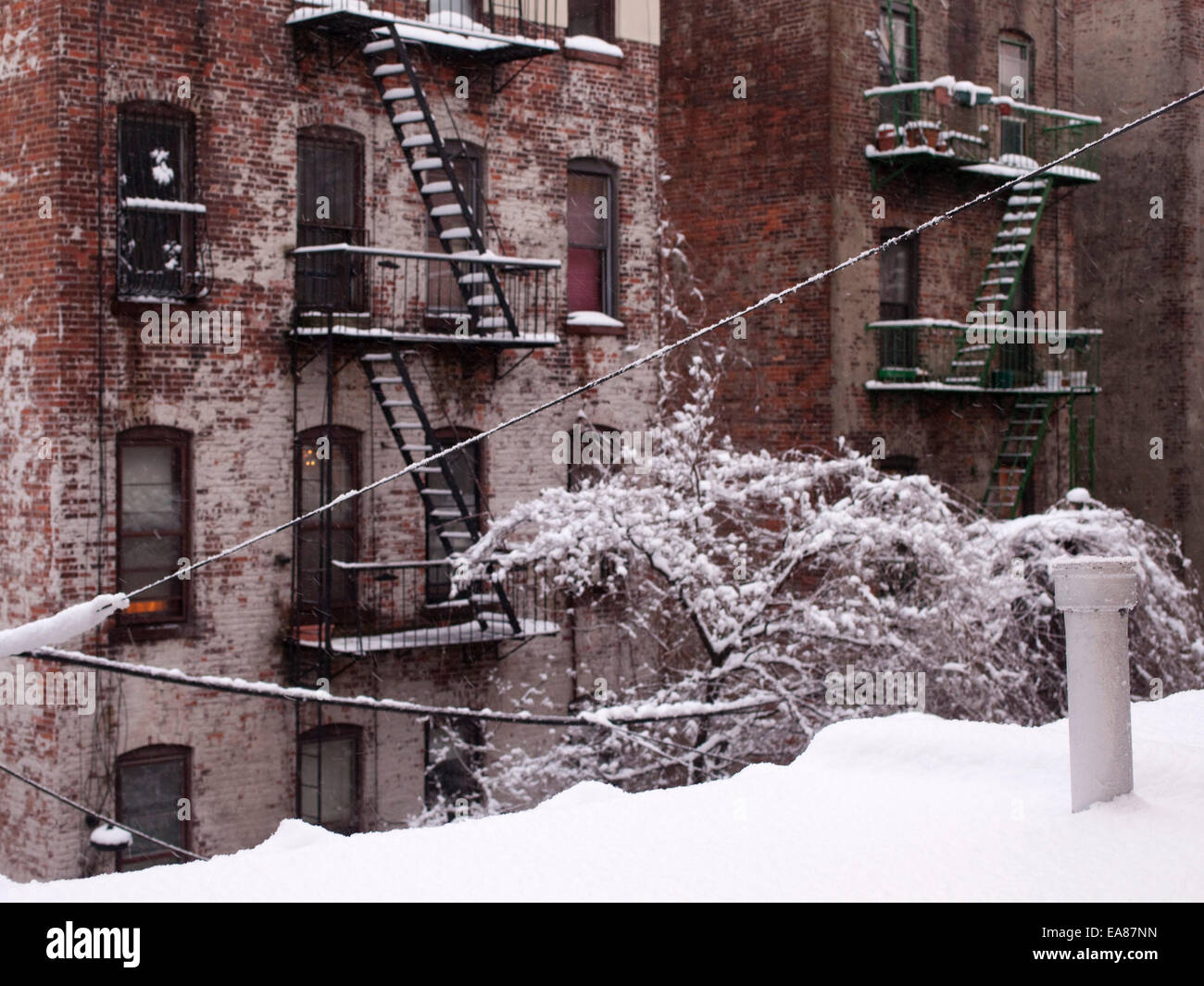 Back of Brooklyn apartment buildings after snow storm. Stock Photo