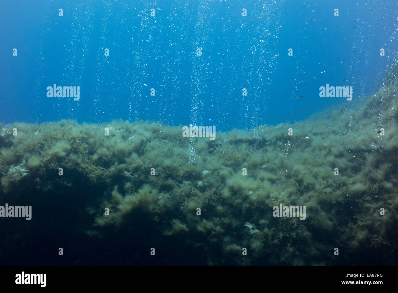 Underwater landscape of the Mediterranean Sea in Cirkewwa, Malta. Stock Photo