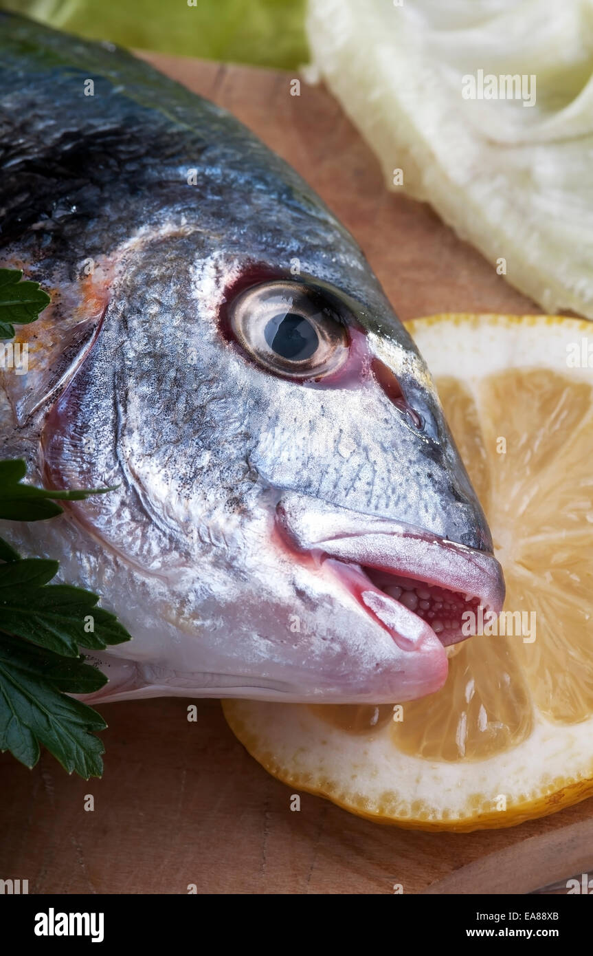 Head of freshly caught sea bream ready to be cooked Stock Photo - Alamy