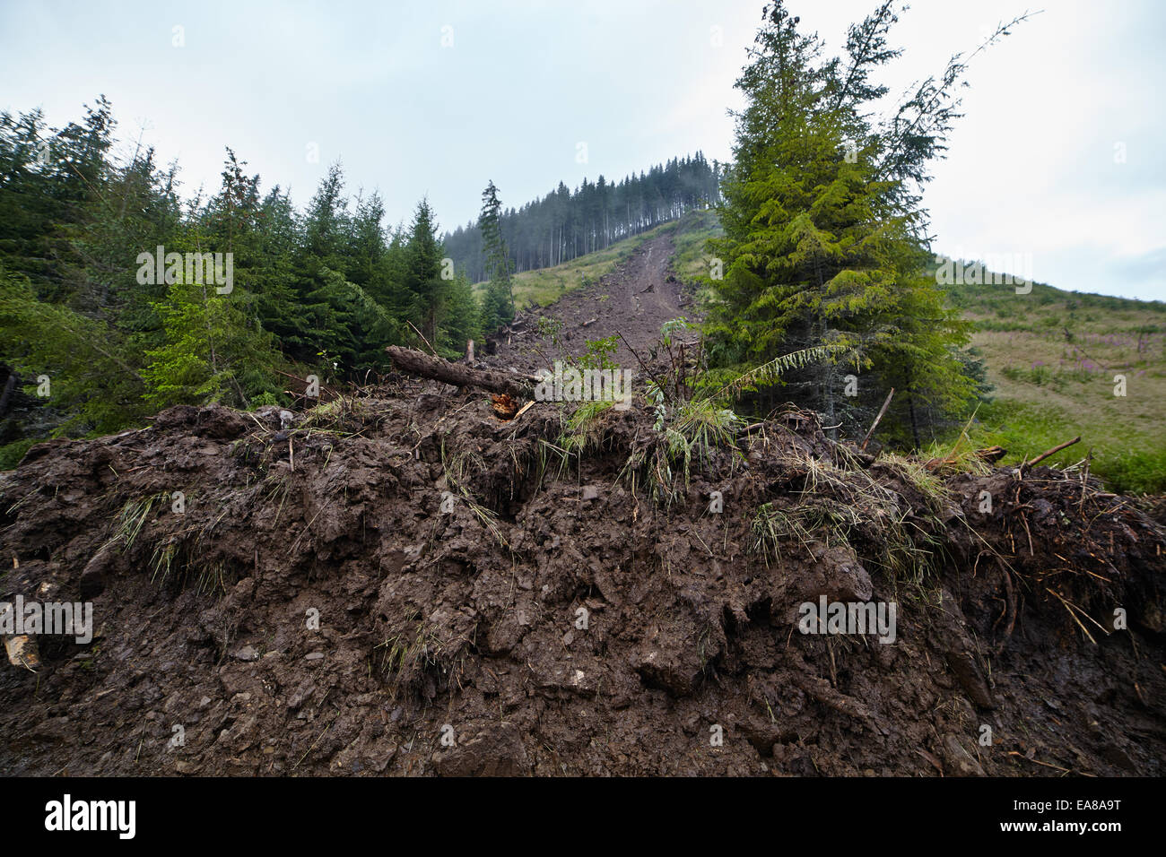 Big landslide in the mountains due to deforestation Stock Photo - Alamy