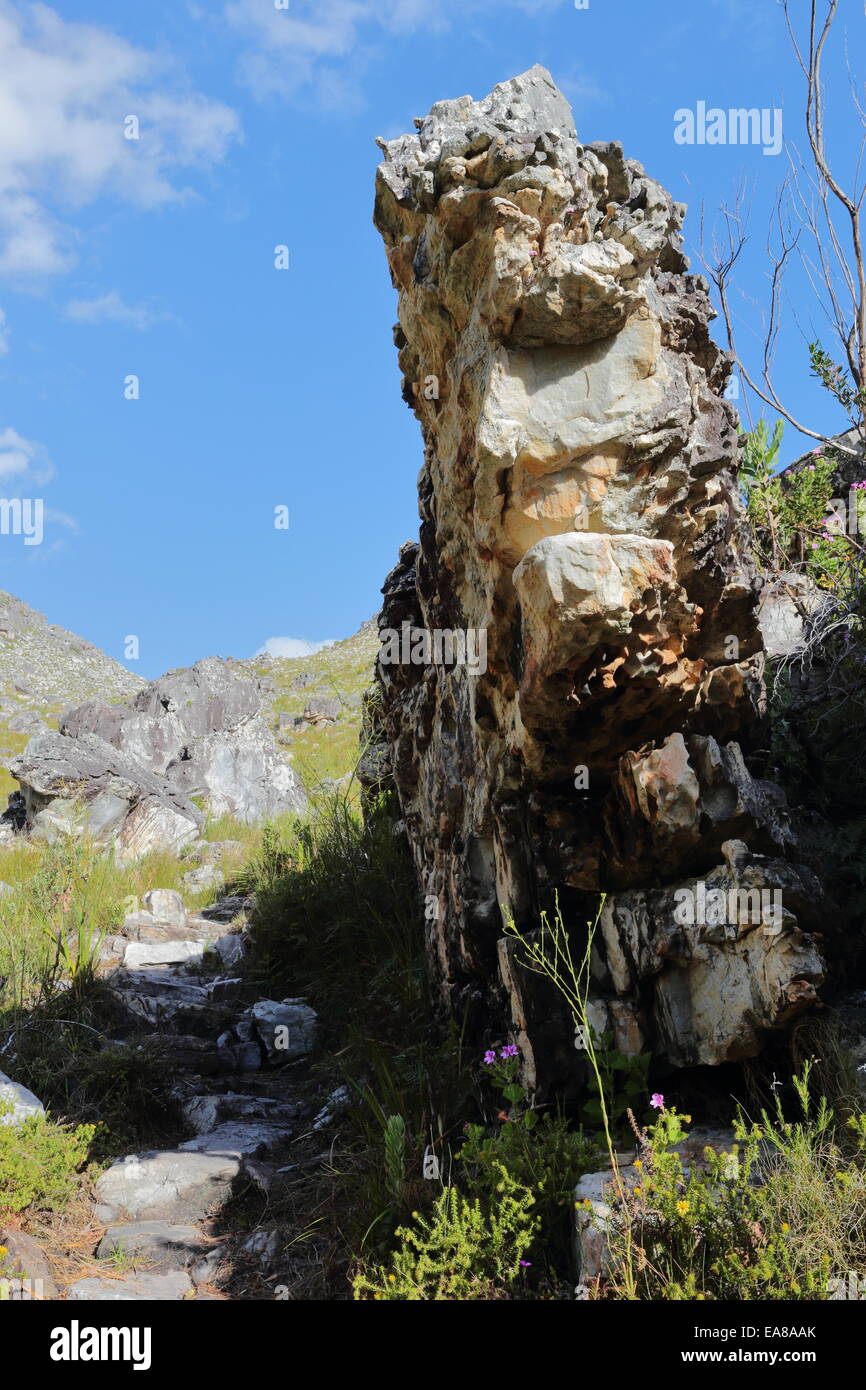 Spring mountain scene in the Kogelberg Mountains, South Africa Stock Photo