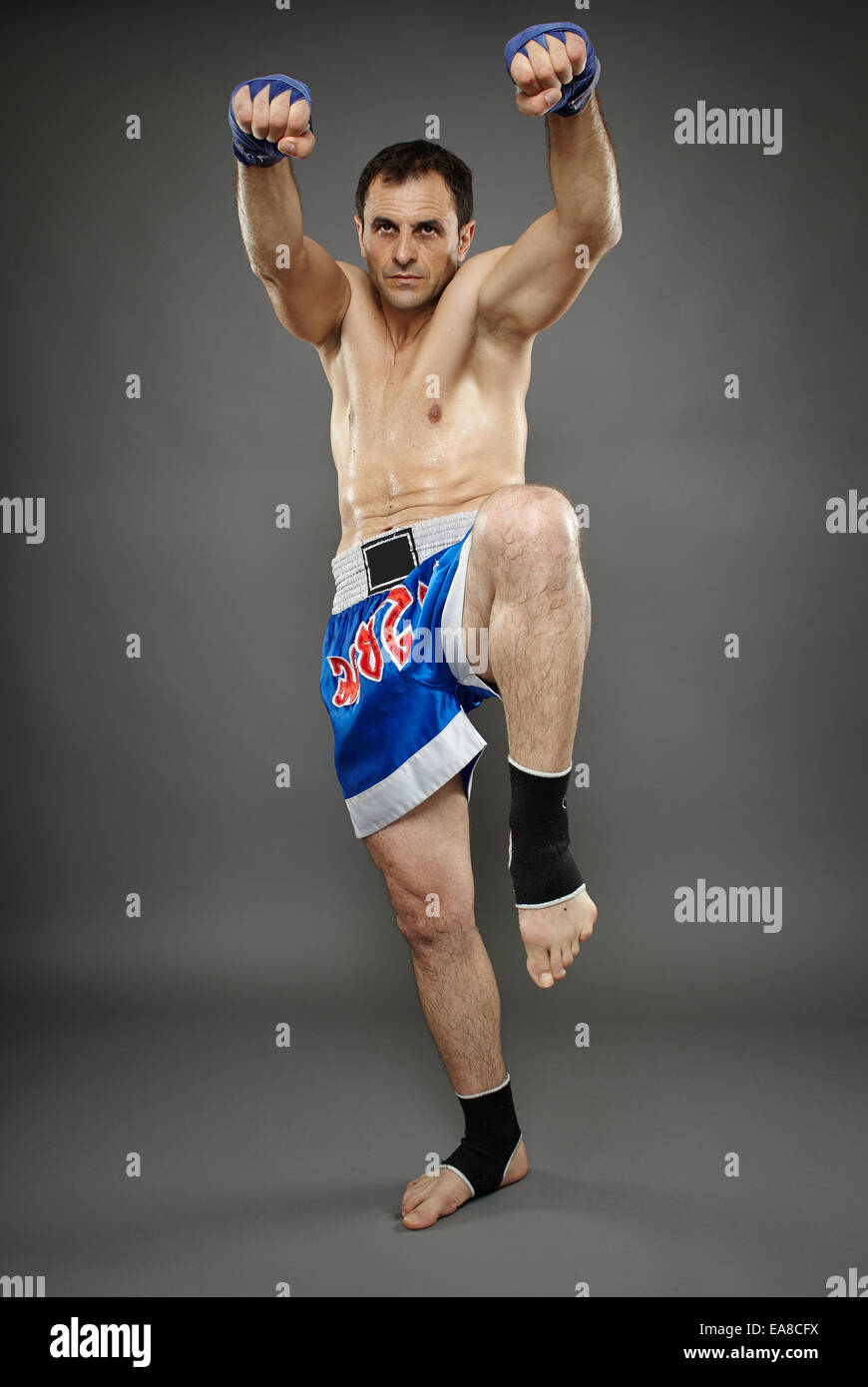 Kickbox or muay thai fighter in guard stance Stock Photo - Alamy