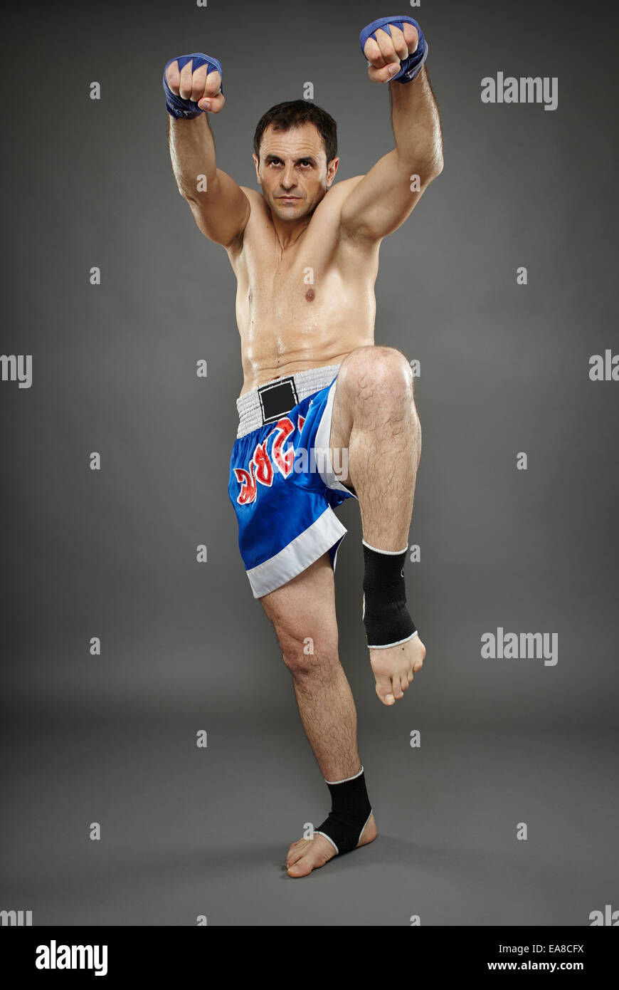 Kickbox or muay thai fighter in guard stance Stock Photo Alamy
